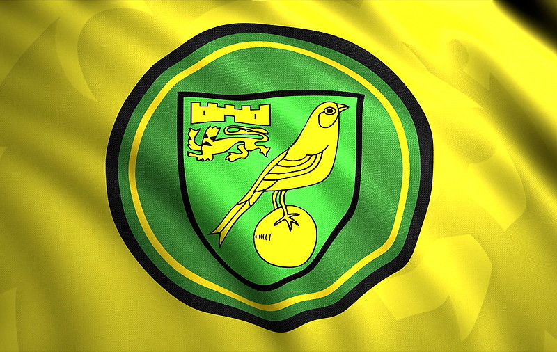 norwich city badge close up